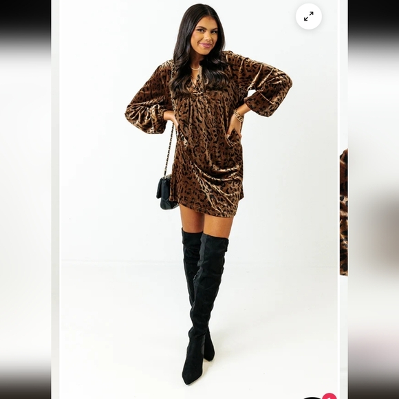 JODIFL Leopard Print Brown Dress_Small - Picture 3 of 9